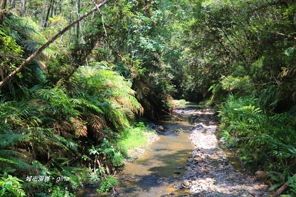 IMG_3714.JPG IMG_3714.JPG