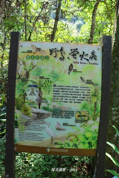 IMG_3715.JPG IMG_3715.JPG