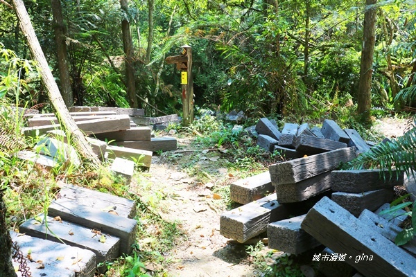 IMG_3716.JPG IMG_3716.JPG