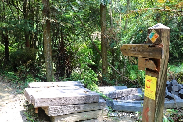 IMG_3717.JPG IMG_3717.JPG