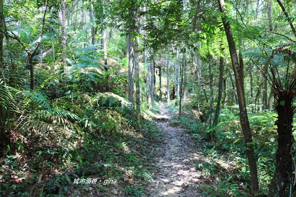 IMG_3718.JPG IMG_3718.JPG