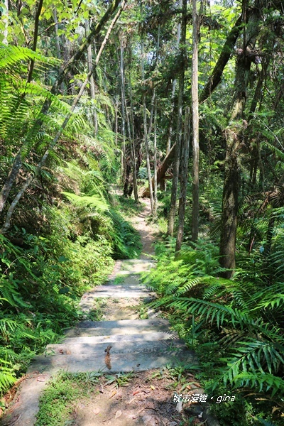 IMG_3721.JPG IMG_3721.JPG