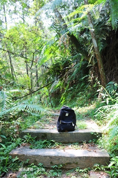 IMG_3723.JPG IMG_3723.JPG