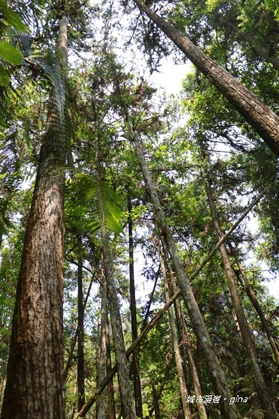 IMG_3724.JPG IMG_3724.JPG