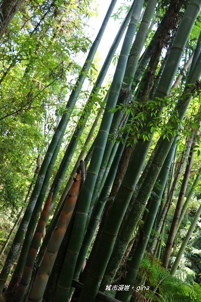 IMG_3727.JPG IMG_3727.JPG