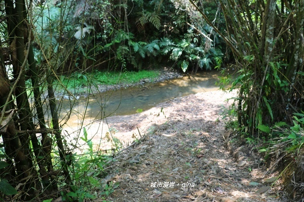 IMG_3732.JPG IMG_3732.JPG