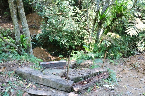 IMG_3731.JPG IMG_3731.JPG