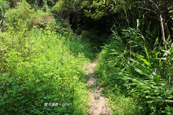 IMG_3733.JPG IMG_3733.JPG