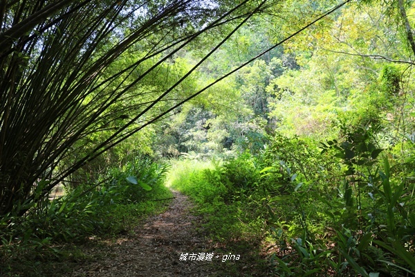 IMG_3734.JPG IMG_3734.JPG