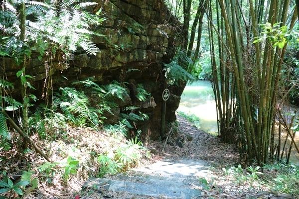 IMG_3735.JPG IMG_3735.JPG