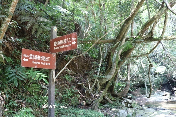 IMG_3738.JPG IMG_3738.JPG