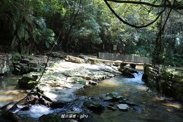 IMG_3747.JPG IMG_3747.JPG