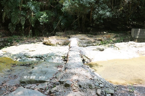 IMG_3843.JPG IMG_3843.JPG