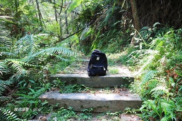 IMG_3846.JPG IMG_3846.JPG