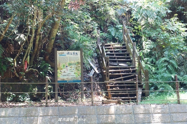 IMG_3845.JPG IMG_3845.JPG