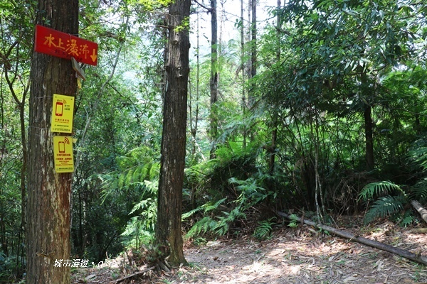 IMG_3846.JPG IMG_3846.JPG