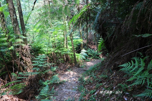 IMG_3851.JPG IMG_3851.JPG