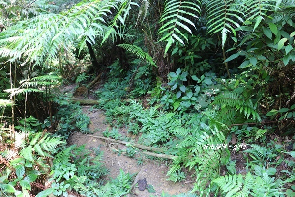 IMG_3859.JPG IMG_3859.JPG