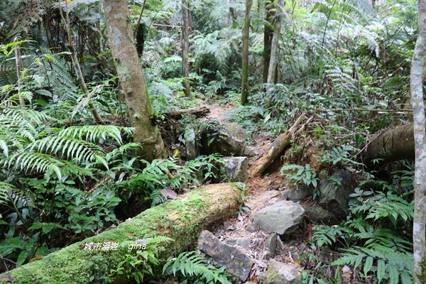 IMG_3860.JPG IMG_3860.JPG