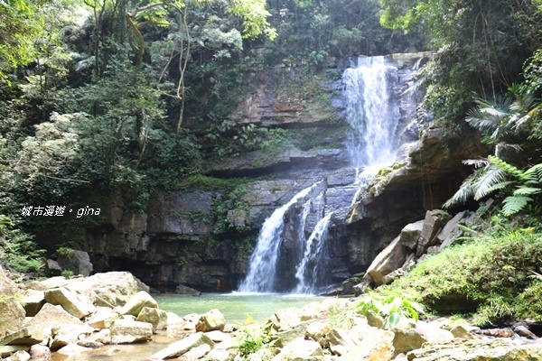 IMG_3875.JPG IMG_3875.JPG