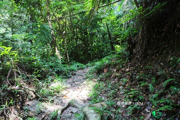 IMG_3917.JPG IMG_3917.JPG