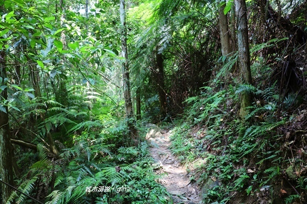 IMG_3919.JPG IMG_3919.JPG