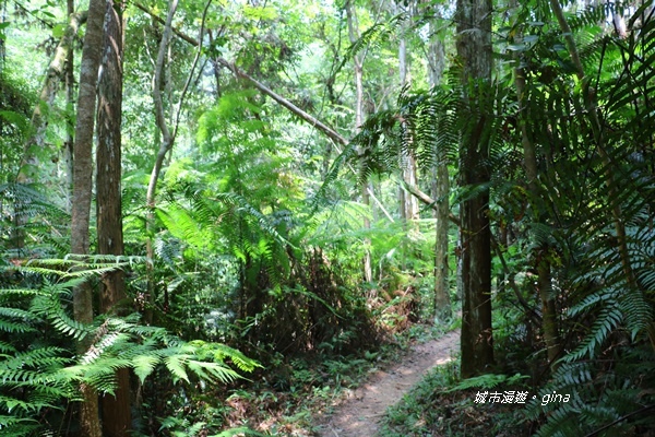 IMG_3920.JPG IMG_3920.JPG