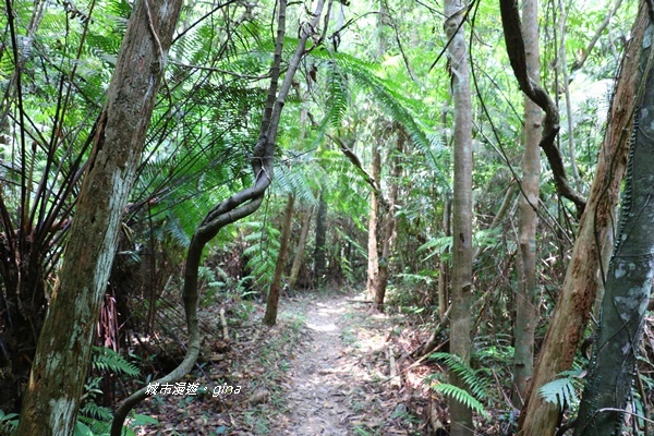 IMG_3921.JPG IMG_3921.JPG