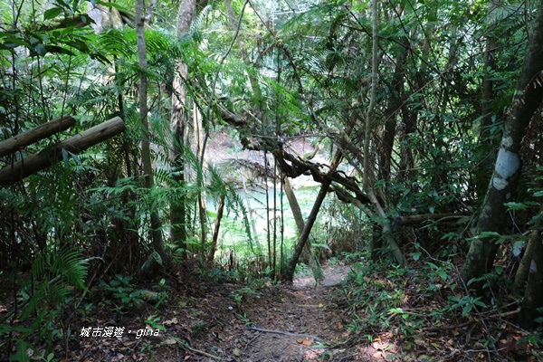 IMG_3922.JPG IMG_3922.JPG