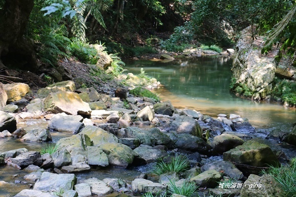 IMG_3924.JPG IMG_3924.JPG