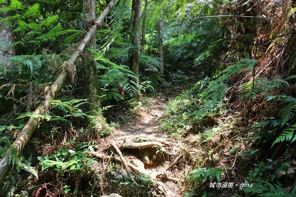 IMG_3925.JPG IMG_3925.JPG