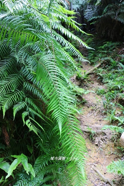 IMG_3927.JPG IMG_3927.JPG