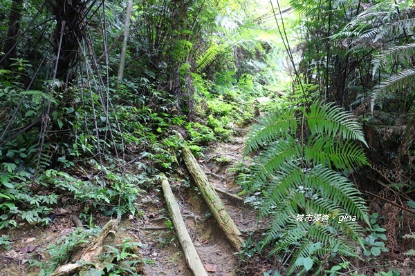 IMG_3926.JPG IMG_3926.JPG