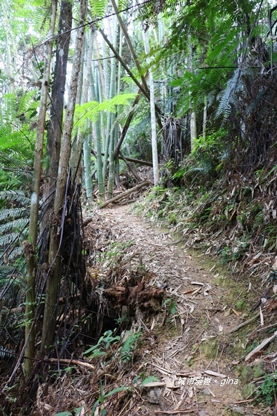 IMG_3930.JPG IMG_3930.JPG