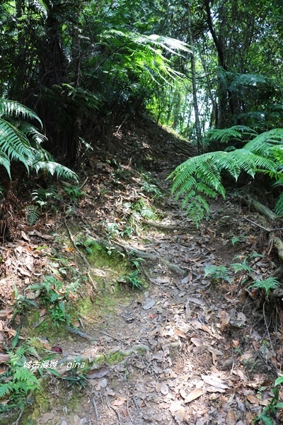 IMG_3932.JPG IMG_3932.JPG