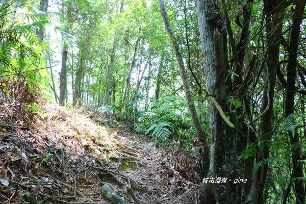 IMG_3933.JPG IMG_3933.JPG