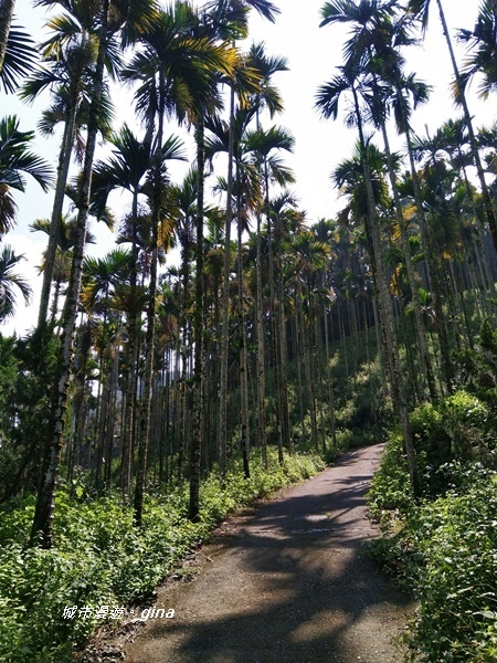 20180923_180923_0006.jpg 20180923_180923_0006.jpg