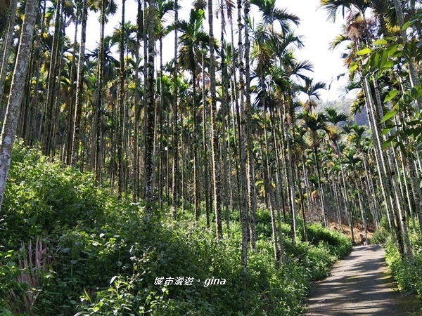 20180923_180923_0011.jpg 20180923_180923_0011.jpg