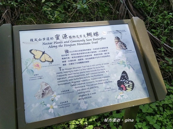 20180923_180923_0015.jpg 20180923_180923_0015.jpg