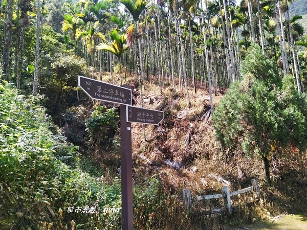 20180923_180923_0016.jpg 20180923_180923_0016.jpg