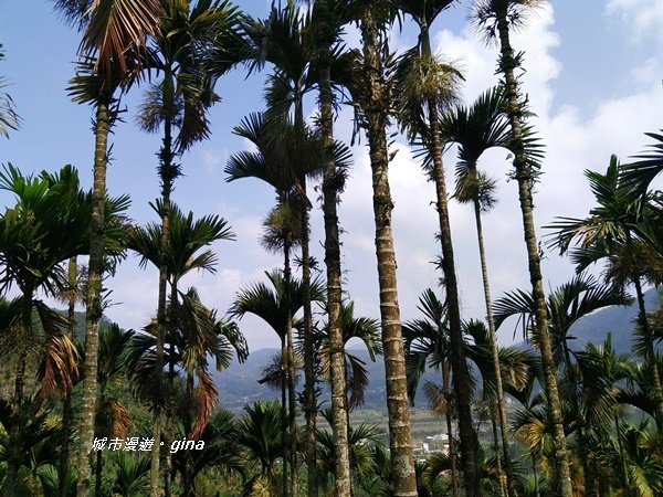 20180923_180923_0017.jpg 20180923_180923_0017.jpg