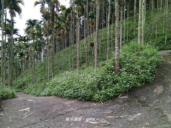 20180923_180923_0019.jpg 20180923_180923_0019.jpg