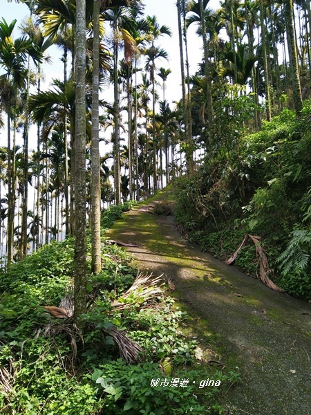 20180923_180923_0020.jpg 20180923_180923_0020.jpg