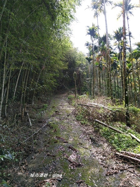 20180923_180923_0022.jpg 20180923_180923_0022.jpg