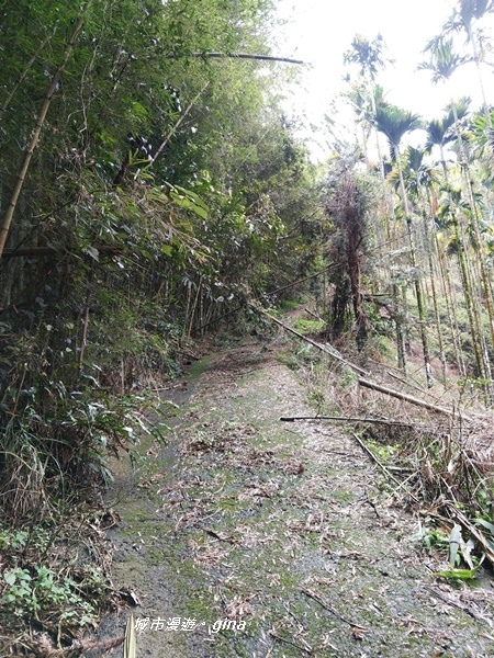 20180923_180923_0026.jpg 20180923_180923_0026.jpg