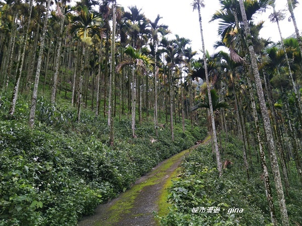 20180923_180923_0039.jpg 20180923_180923_0039.jpg