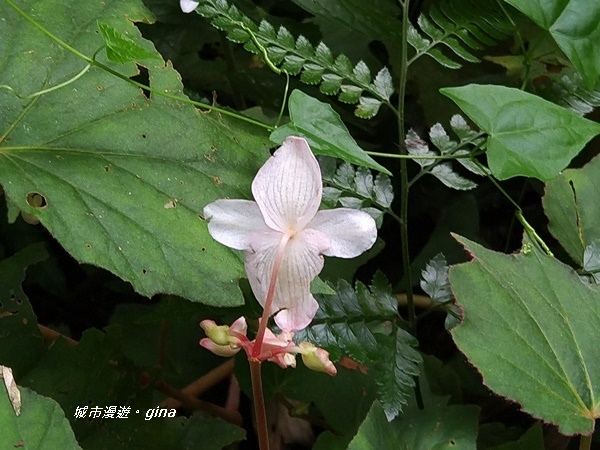 20180923_180923_0045.jpg 20180923_180923_0045.jpg