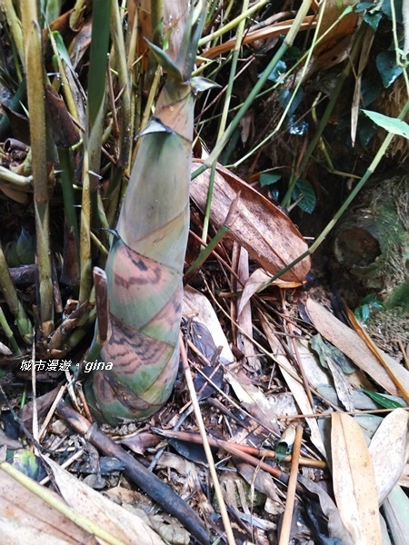 20180923_180923_0052.jpg 20180923_180923_0052.jpg