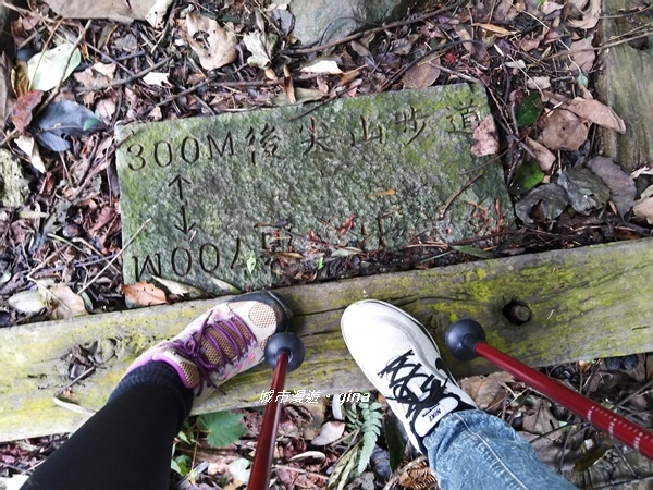 20180923_180923_0059.jpg 20180923_180923_0059.jpg