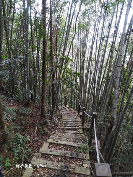 20180923_180923_0064.jpg 20180923_180923_0064.jpg